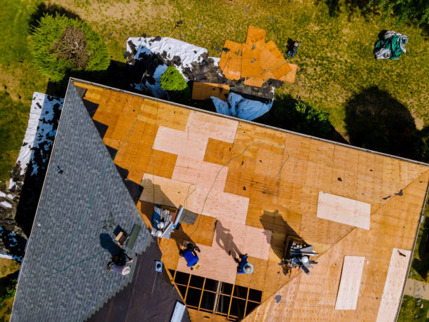 Best Metal Roofing Contractor  in Arlington, OH
